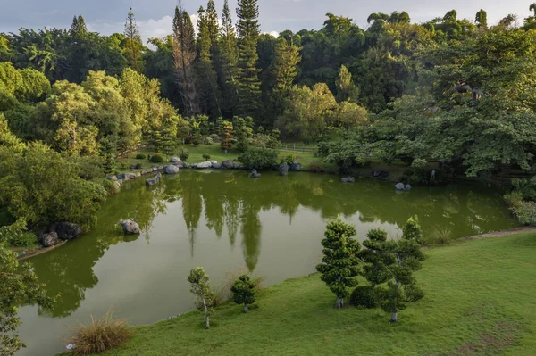 Krajina Rybníka Obklopená Zelení Parku Slunečného Dne — Stock fotografie