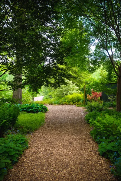 Hermoso Sendero Parque Verde — Foto de Stock