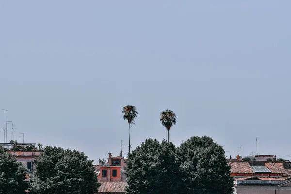 Een Paar Bomen Huizen Tegen Een Helderblauwe Lucht Rome Italië — Stockfoto