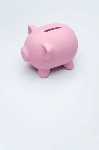 Pink Piggy Bank Isolated Background Free Space Text — Stock Photo, Image