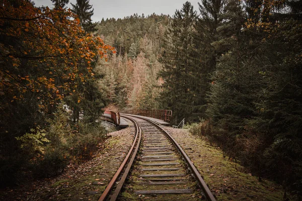 Festői Kilátás Vasúti Őszi Levelek Földön Fák — Stock Fotó