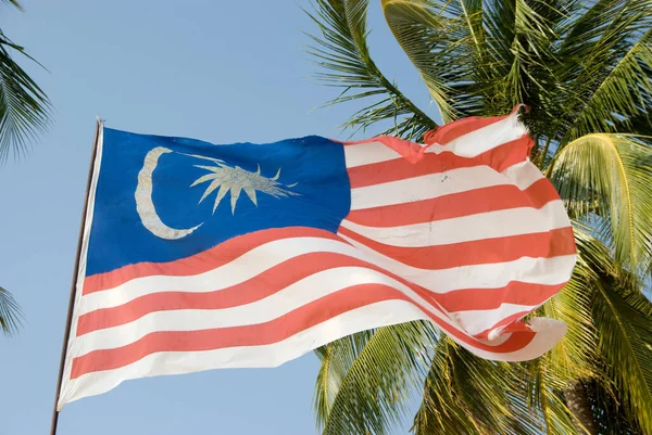 Flag Malaysia Palm Trees Waving Wind — Stock Photo, Image