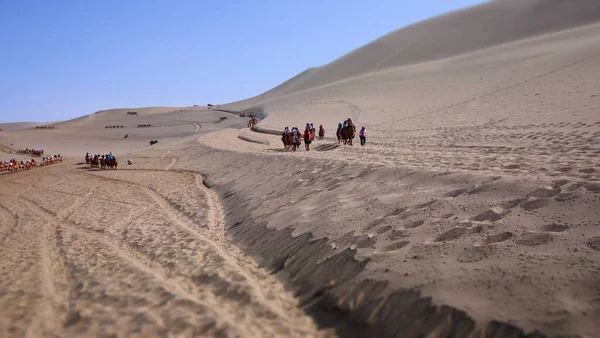 Una Foto Una Vista Del Desierto Camellos Caminando Distancia Con — Foto de Stock