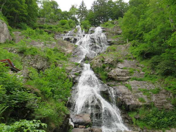 Över Det Natursköna Vattenfallet Todtnauer Den Gröna Skogen Tyskland — Stockfoto