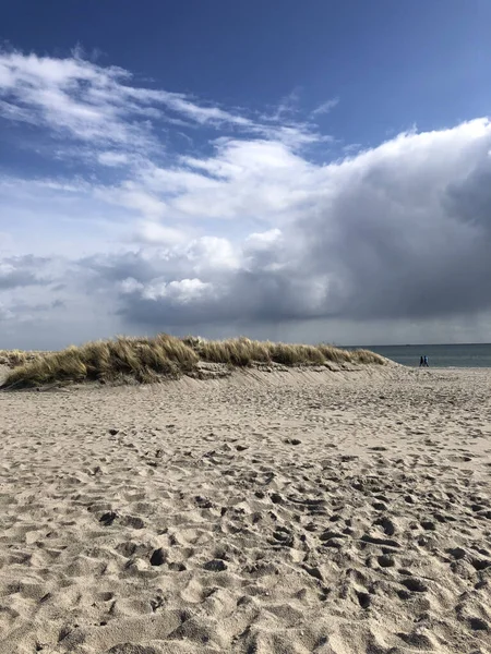 Растущие Дикие Травы Песчаных Дюнах Темными Облаками Фоне Океана — стоковое фото