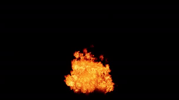 在黑色背景上燃烧的火焰 — 图库视频影像