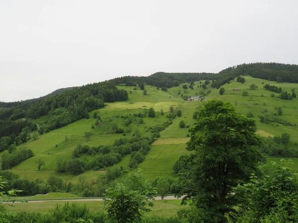 Eine Landschaftlich Schöne Grüne Landschaft Des Hochschwarzwaldes Der Nähe Des — Stockfoto