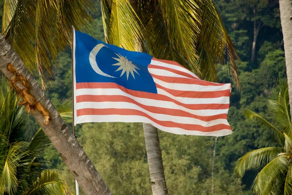 Flag Malaysia Palm Trees Waving Wind — Stock Photo, Image