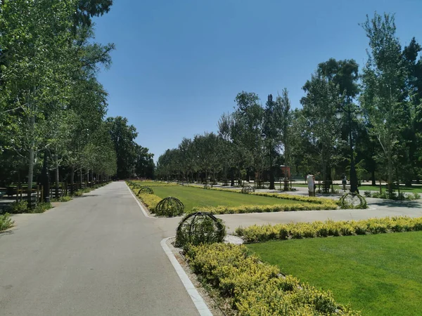 Flower Rows Trees Sunny Day Retiro Park Madrid Spain — Stock Photo, Image