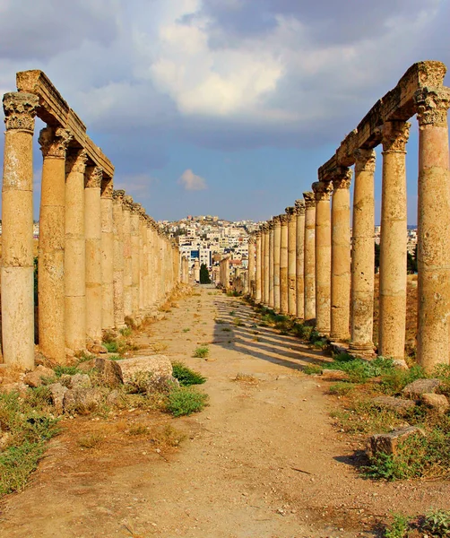 Colonne Dell Antica Oval Plaza Jerash Amman Giordania — Foto Stock