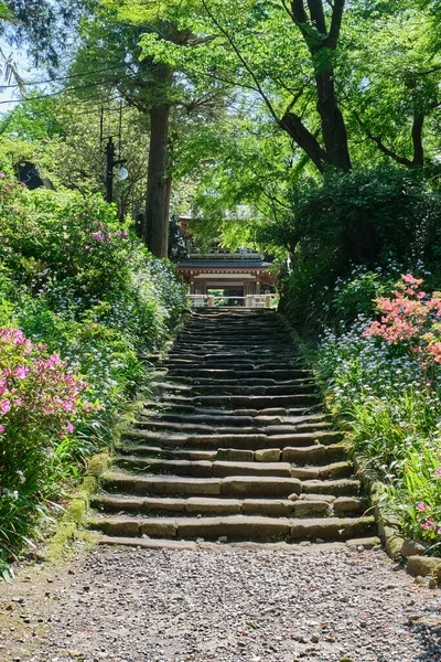 鎌倉の常智寺につながる階段の垂直ショット — ストック写真
