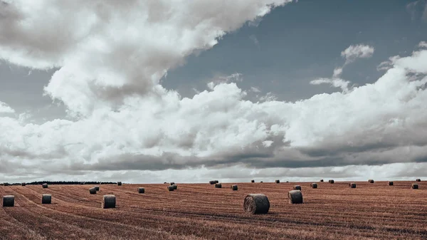 Een Close Van Hooi Het Veld Het Platteland Van Frankrijk — Stockfoto