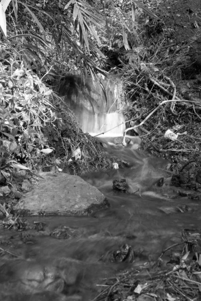 Una Toma Escala Grises Una Cascada Bosque — Foto de Stock