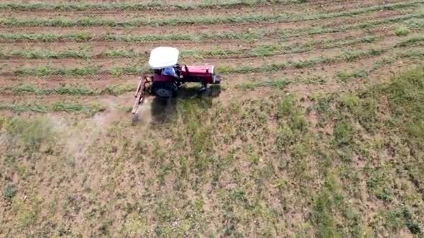 대낮에 농경지에서 일하는 트랙터의 — 비디오