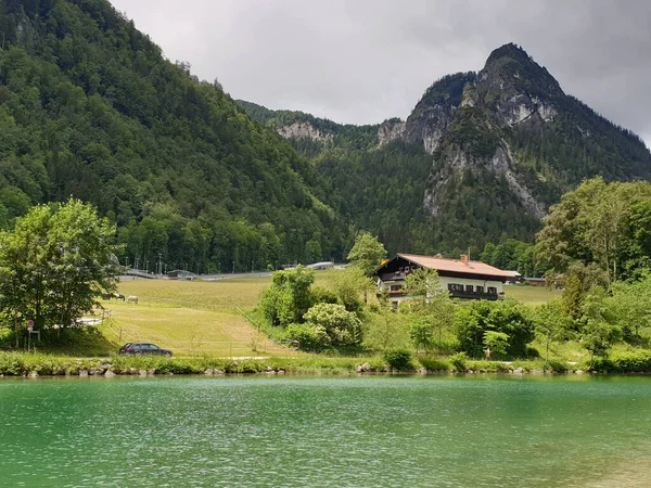 夏の牧草地 家や湖 ターコイズブルーの水を持つオーストリアの森林に覆われた山々 — ストック写真