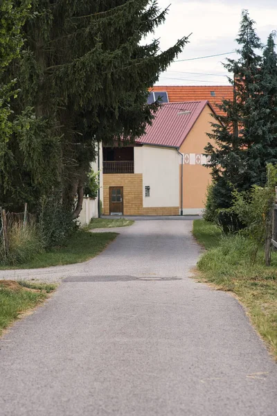 Een Weg Die Leidt Naar Het Huis Met Dennenbomen Ernaast — Stockfoto