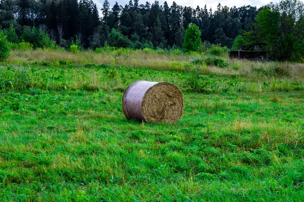 Een Hooiberg Een Groen Veld Bij Een Bos — Stockfoto