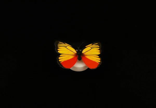 Una Mariposa Decorativa Colorida Aislada Sobre Fondo Negro —  Fotos de Stock