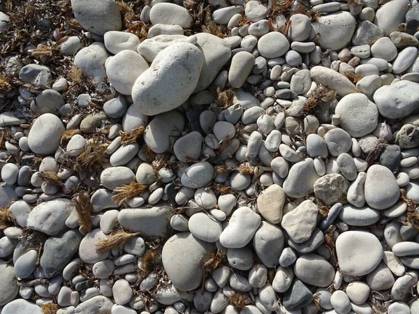 海岸に異なる大きさの岩の高角度ショット — ストック写真