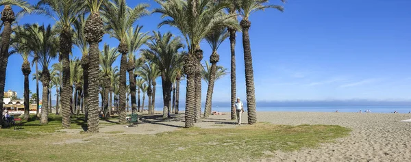 Malaga Spain Sep 2017 Panoramic Shot Palm Grove Beach Carihuela — Stock Photo, Image