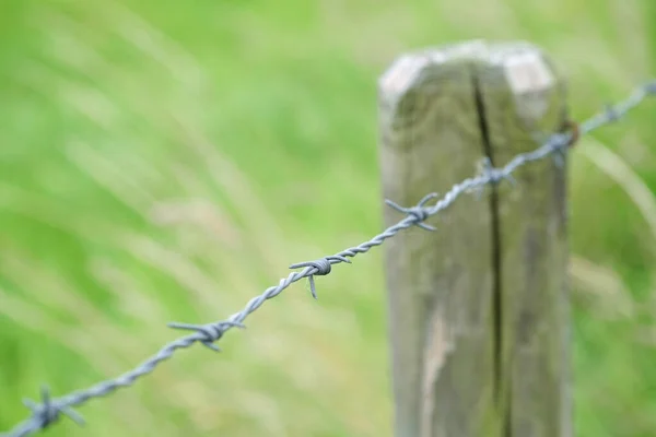 Een Close Shot Van Een Hek Met Prikkeldraad — Stockfoto