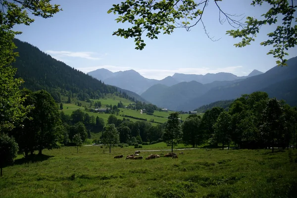 Cenário Tranquilo Dos Alpes Baviera — Fotografia de Stock