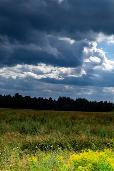 Eine Nahaufnahme Eines Landwirtschaftlichen Feldes Mit Großen Bäumen Und Dunklem — Stockfoto