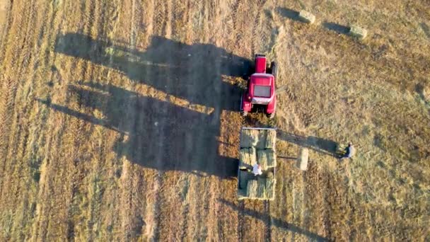 Vue Aérienne Moissonneuse Batteuse Sur Terrain — Video