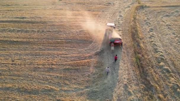 Flygfoto Traktor Som Arbetar Jordbruksmark Dagsljus — Stockvideo