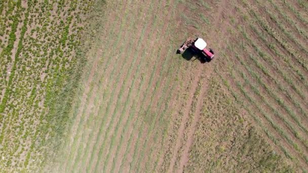 Vista Aérea Del Tractor Que Trabaja Campo Agrícola Durante Día — Vídeo de stock