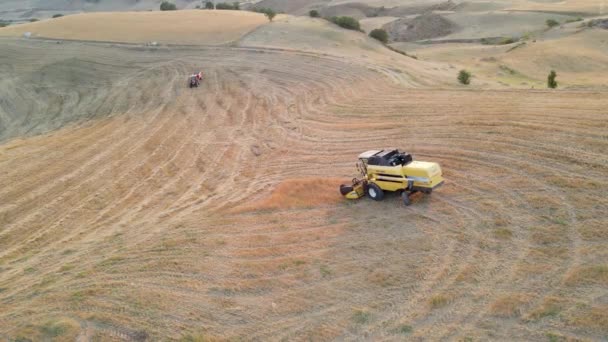 뒤에 푸른 하늘을 배경으로 밀 밭에서 수확하는 기계의 아름다운 사진 — 비디오