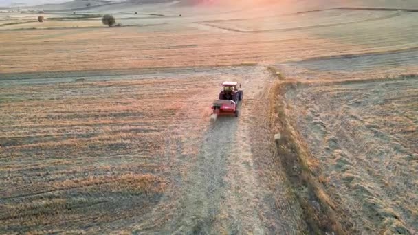 Luftaufnahme Eines Traktors Der Bei Tageslicht Auf Einem Landwirtschaftlichen Feld — Stockvideo