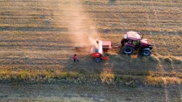 昼間農業現場で働くトラクターの空中ビュー — ストック動画