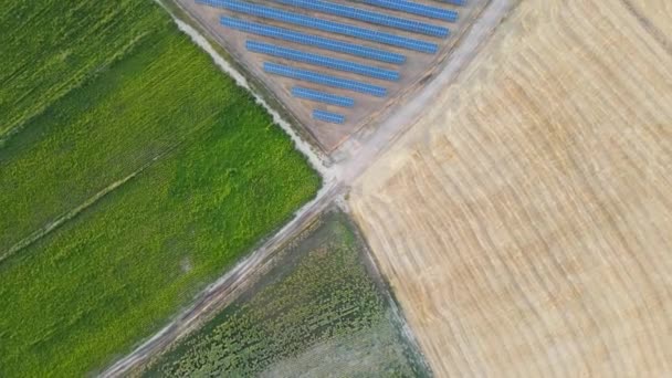 Vista Aérea Del Campo Del Río Verano — Vídeos de Stock