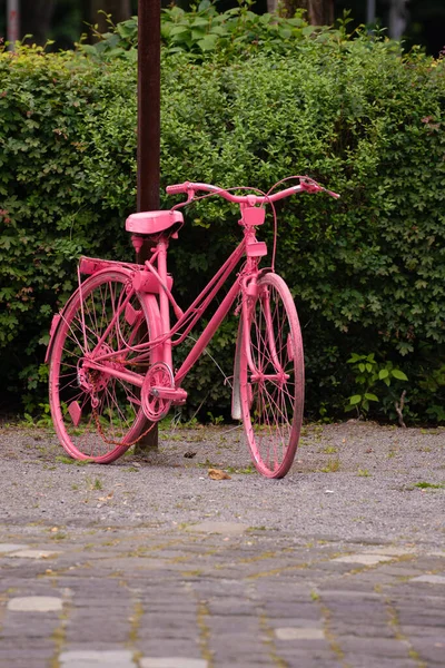 Närbild Rosa Cykel Gata — Stockfoto