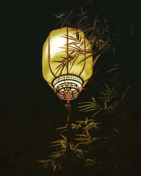 Вертикальний Знімок Красивого Ліхтаря Маленьким Зеленим Листям Навколо Нього Вночі — стокове фото