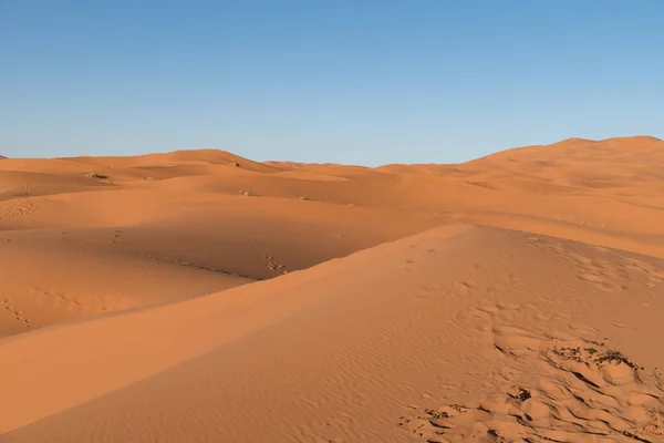 Beau Plan Dunes Sable Dans Désert Sahara Maroc — Photo