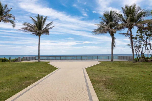 Deerfield Beach Florida Palmiye Ağaçlarıyla Kaplı Okyanusa Giden Bir Patika — Stok fotoğraf