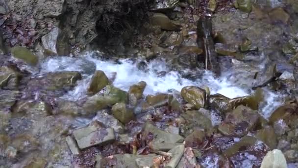 Güneşli Bir Günde Nehrin Küçük Hızlı Akışı — Stok video