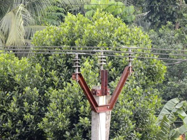 Close Cabos Energia Uma Torre Transmissão Com Árvores Verdes Fundo — Fotografia de Stock