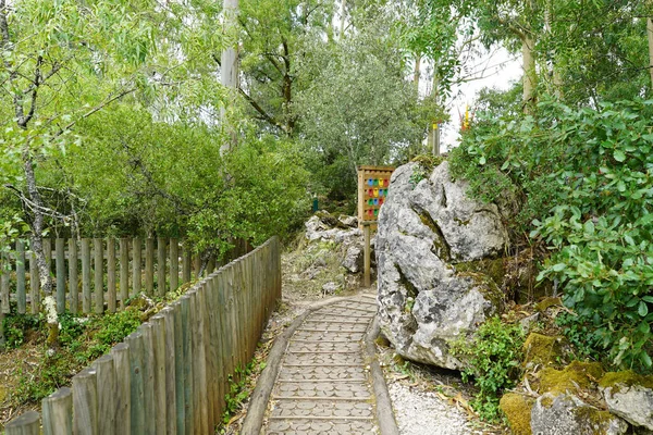 穿过树林的木制人行道和花园里的石头的美丽景色 — 图库照片