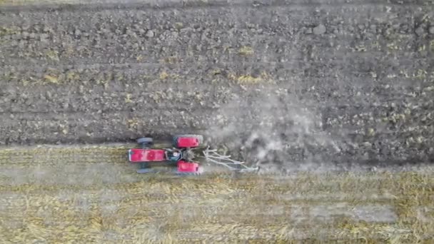 Traktor Pflügt Das Feld Des Roten Weizens — Stockvideo