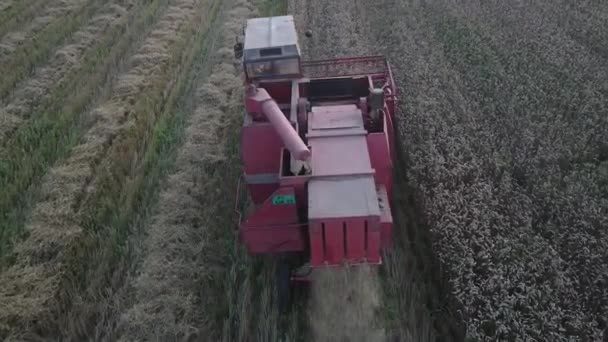畑で作業する収穫機を空中から見ると — ストック動画