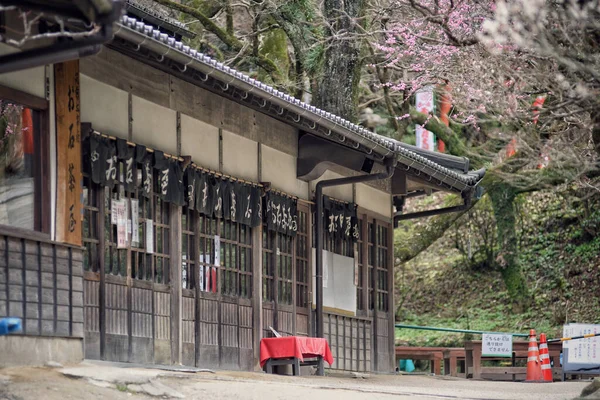 Pohled Starý Dřevěný Dům Vedle Obrovského Lesa Dopoledních Hodinách Japonsku — Stock fotografie