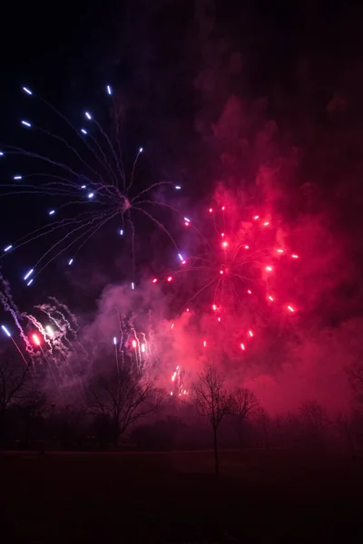 Disparo Vertical Fuegos Artificiales Colores Brillantes Por Noche —  Fotos de Stock