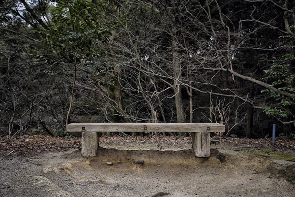 Widok Zardzewiałego Starego Miejsca Drzewami Lasem Tle Japonii — Zdjęcie stockowe