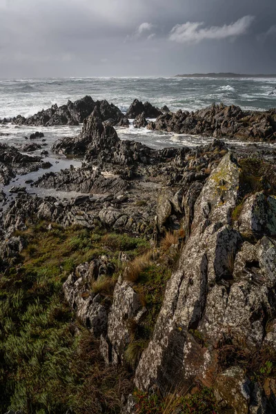 Den Tarkinska Kusten Tasmanien Australien Med Stenig Strand Och Havsutsikt — Stockfoto