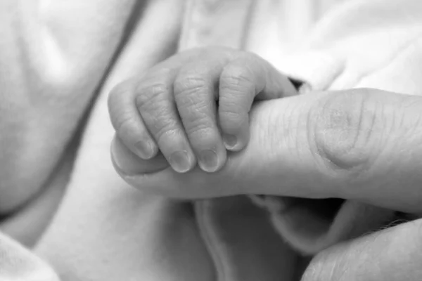Küçük Bir Çocuğun Yakın Çekimi Annenin Parmağını Tutuyor — Stok fotoğraf
