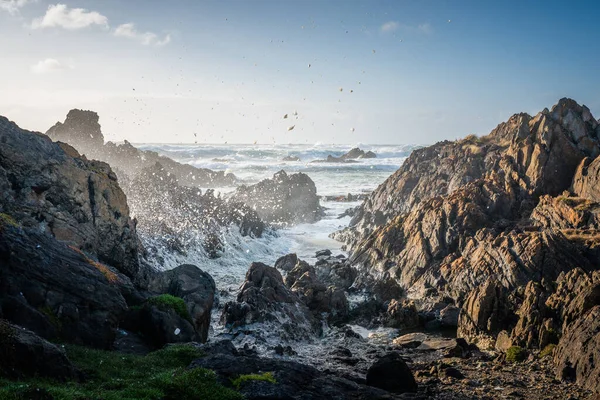 Costa Tarkine Tasmania Australia Con Olas Chapoteando Contra Costa Rocosa — Foto de Stock