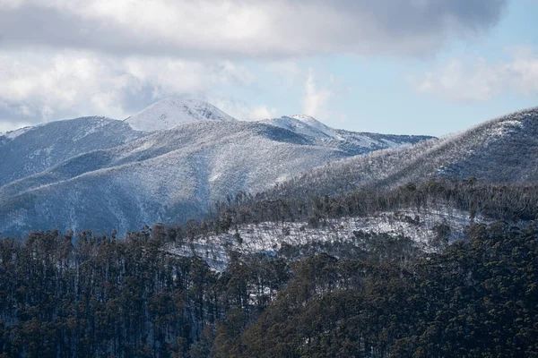 Scène Hivernale Fascinante Sur Mont Hotham Victoria Australie — Photo